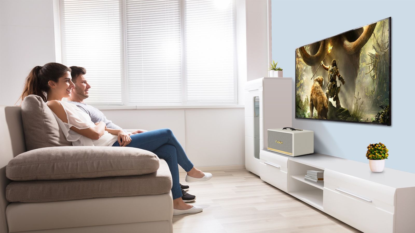 Loa Karaoke Di Động Xách Tay PASION 2