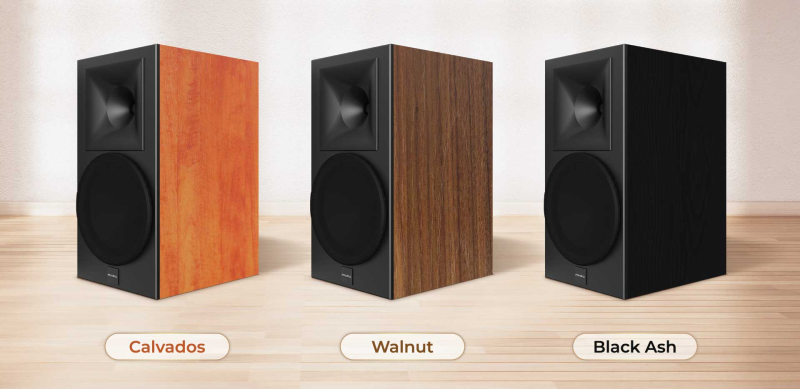 Loa PARAMAX EURO 1001 Limited