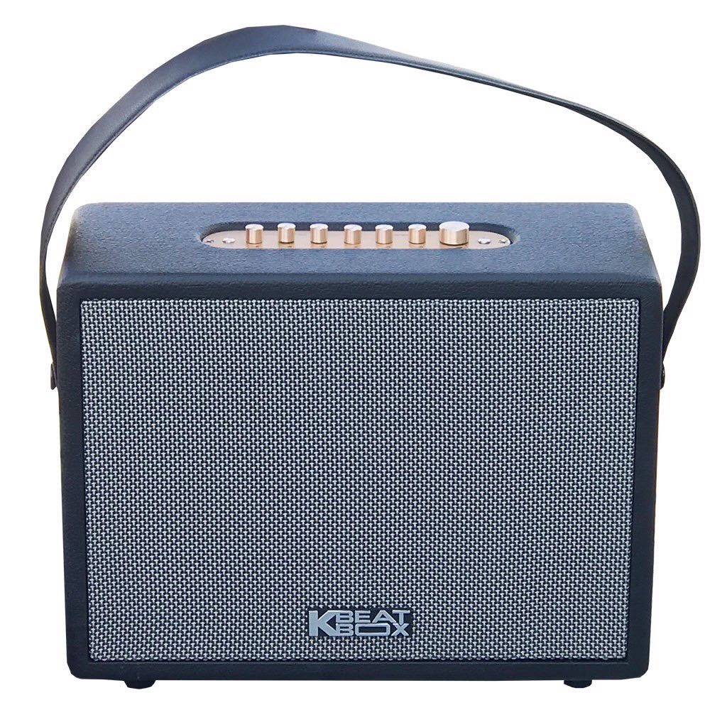 Loa Di Động Xách Tay Cao Cấp ACNOS CS270