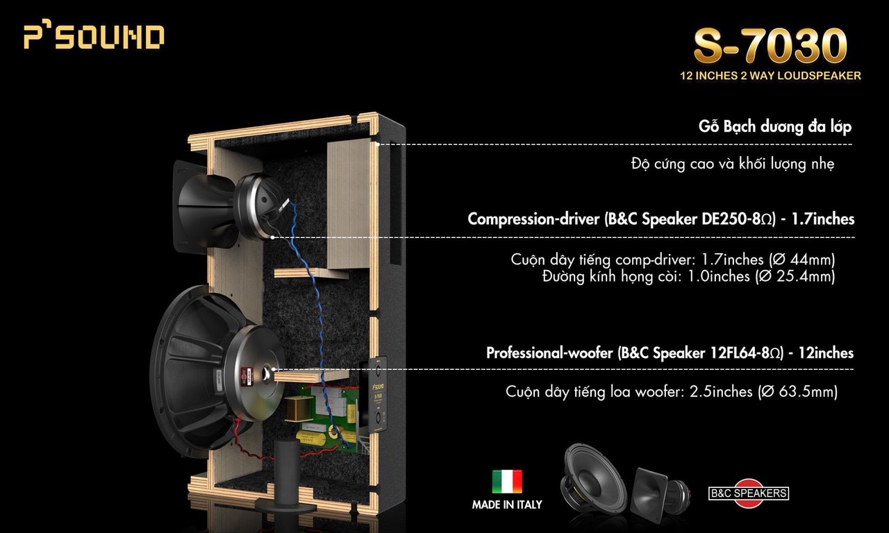 Loa full-range P’SOUND S-7030