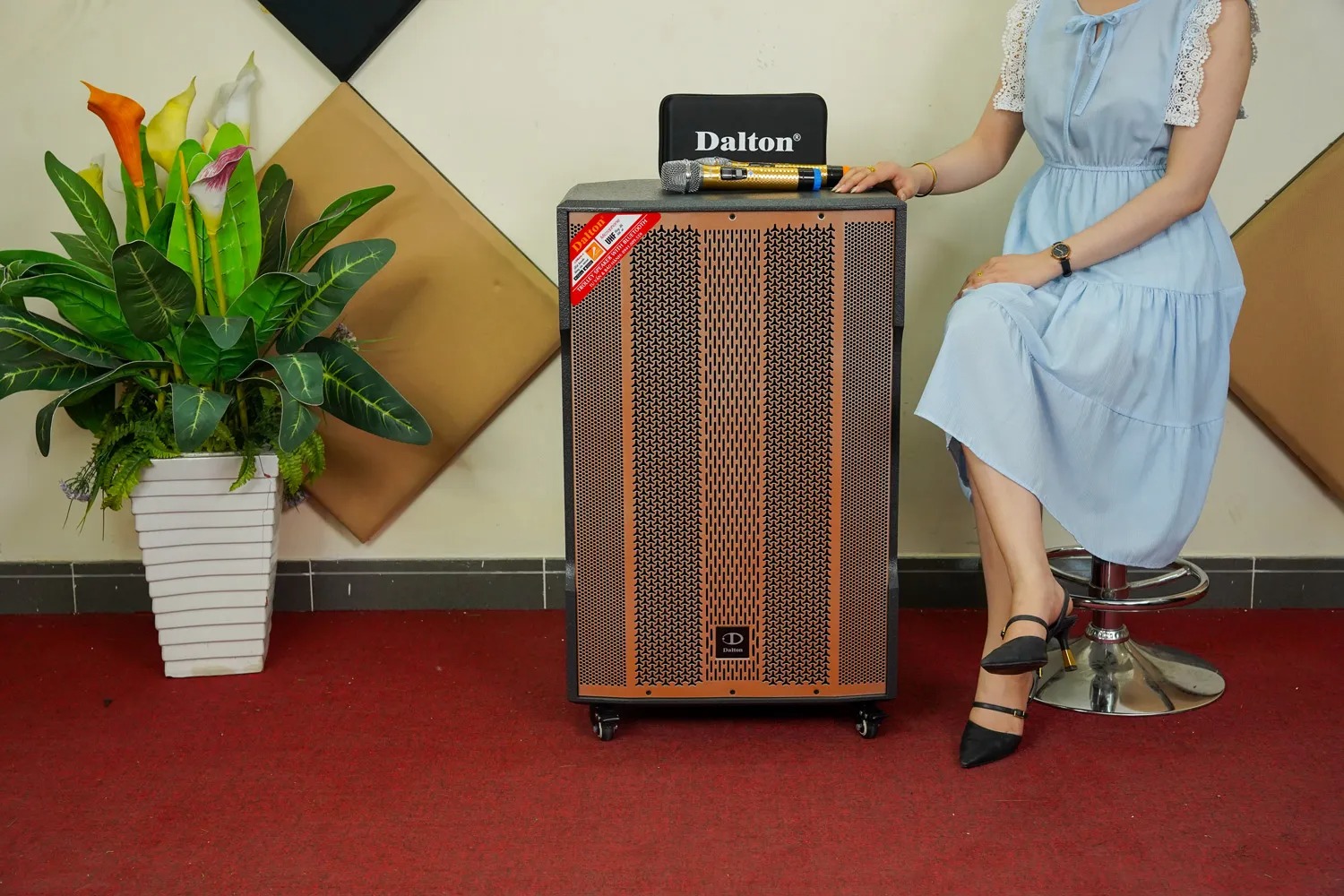 Loa Di Động DALTON TS18A1800