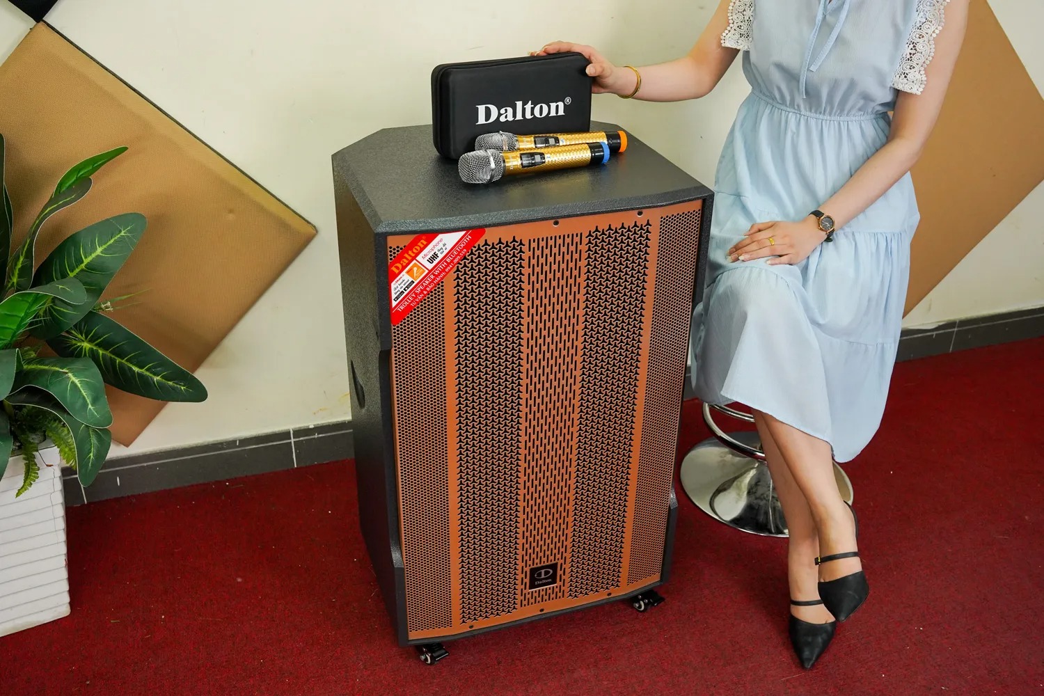 Loa Di Động DALTON TS18A1800