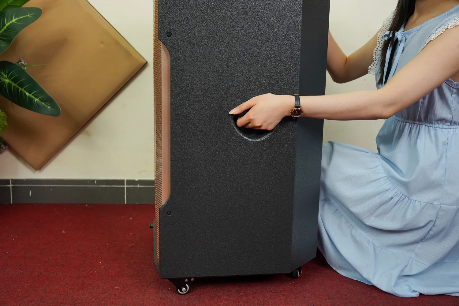 Loa Di Động DALTON TS18A1800