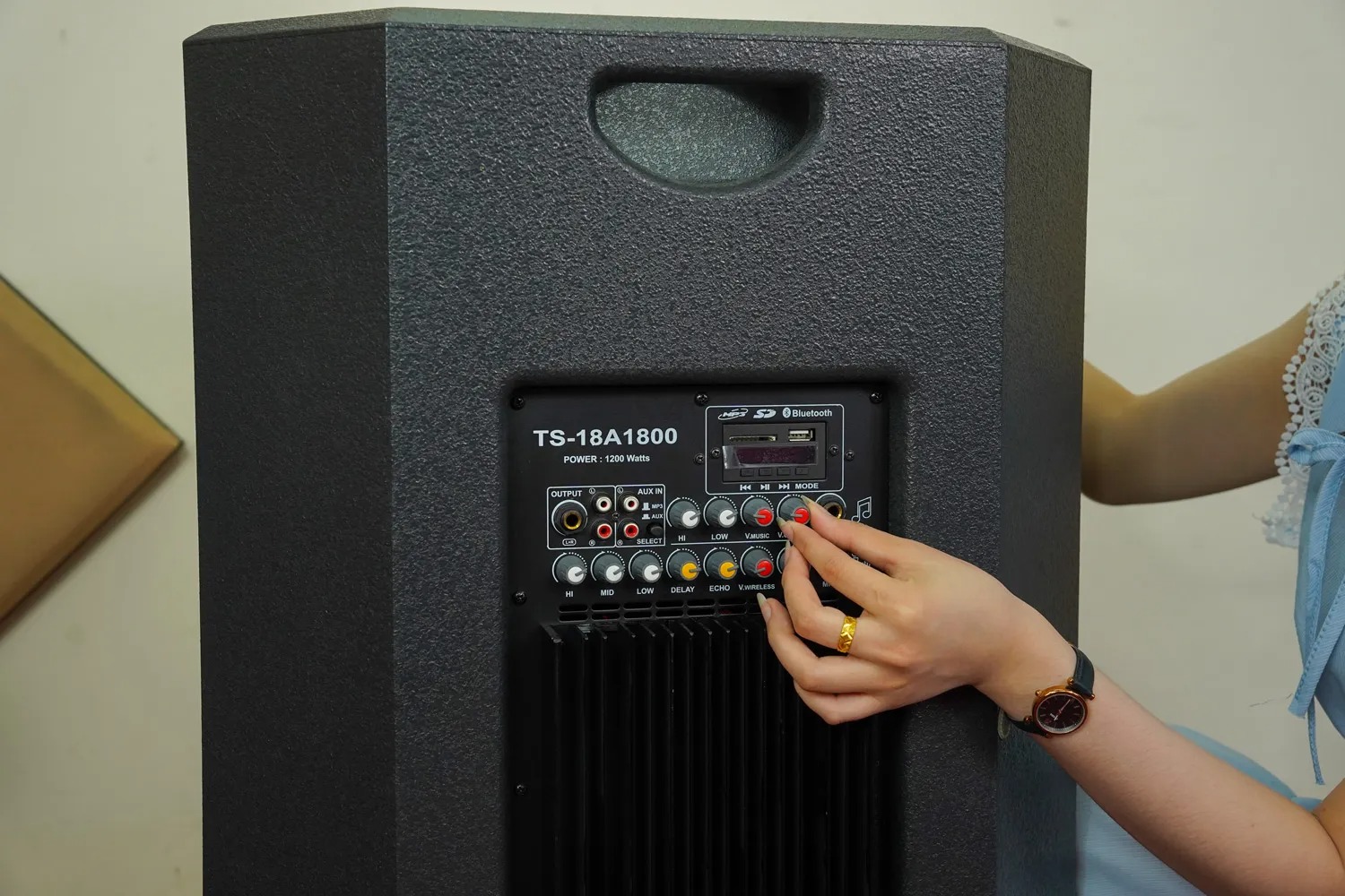 Loa Di Động DALTON TS18A1800