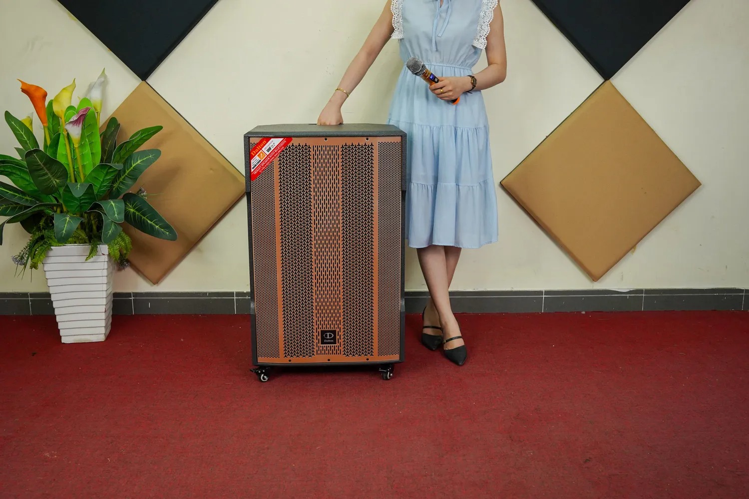 Loa Di Động DALTON TS18A1800