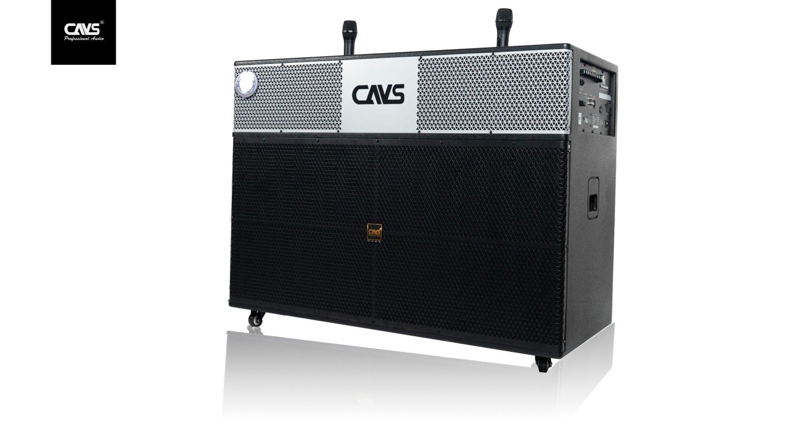 Loa kéo CAVS PA218 2 Bass 50