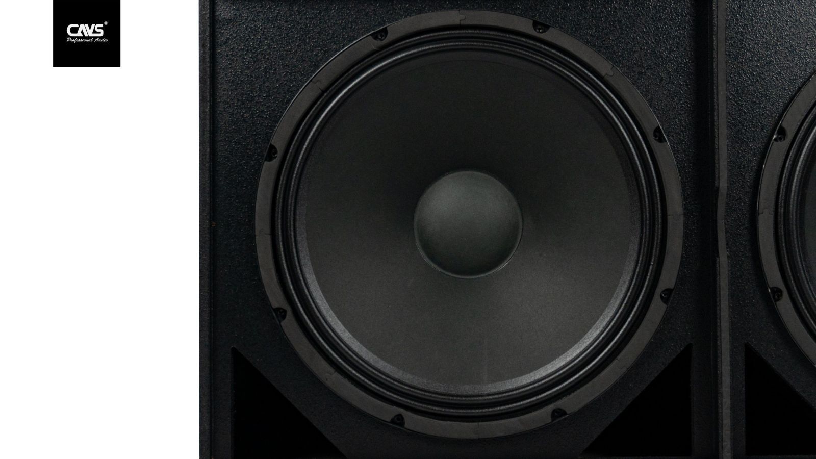 Loa kéo CAVS PA218 2 Bass 50