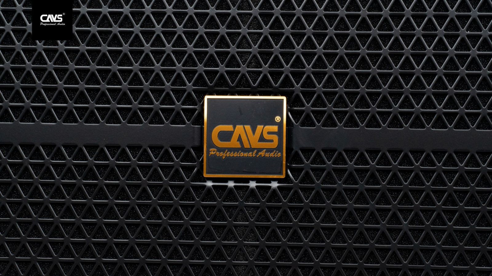 Loa kéo CAVS PA218 2 Bass 50