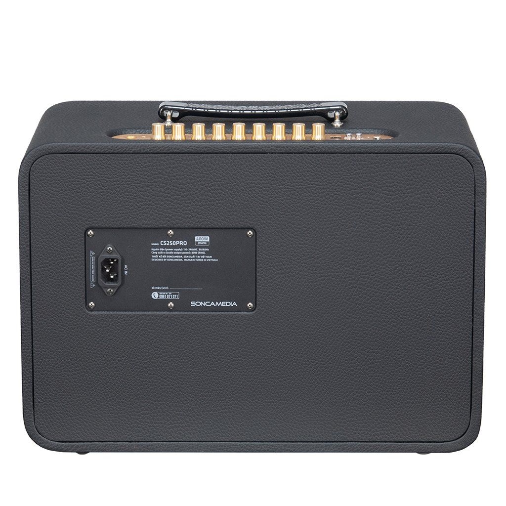 Loa Di Động ACNOS(KBEABOX) CS250Pro