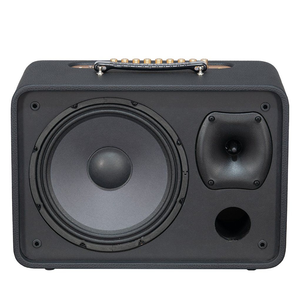 Loa Di Động ACNOS(KBEABOX) CS250Pro