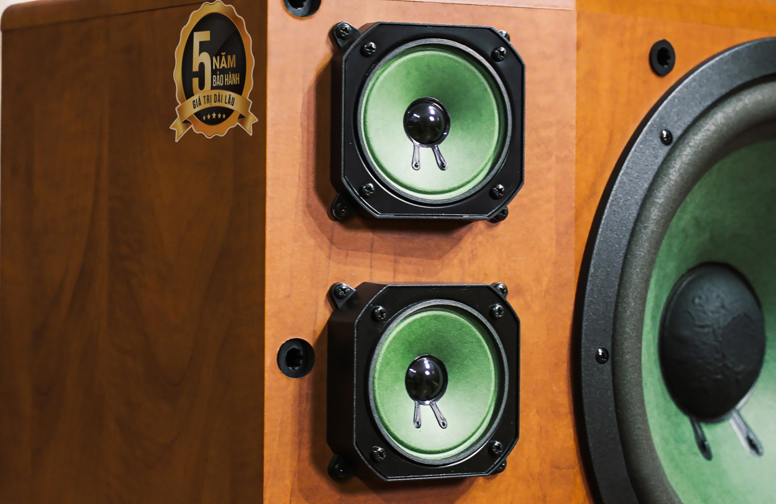 Loa PARAMAX PLATINUM SC-3500