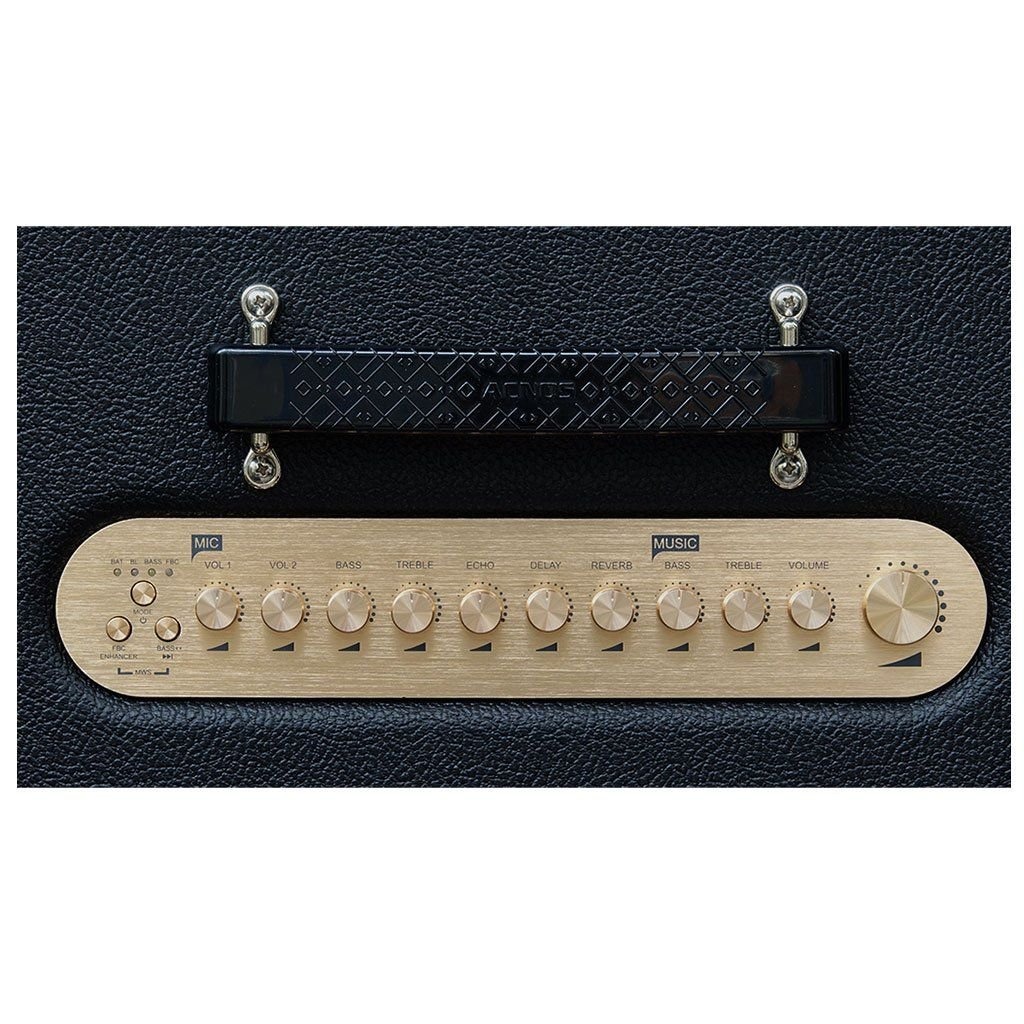 Loa Di Động ACNOS HiNet3600