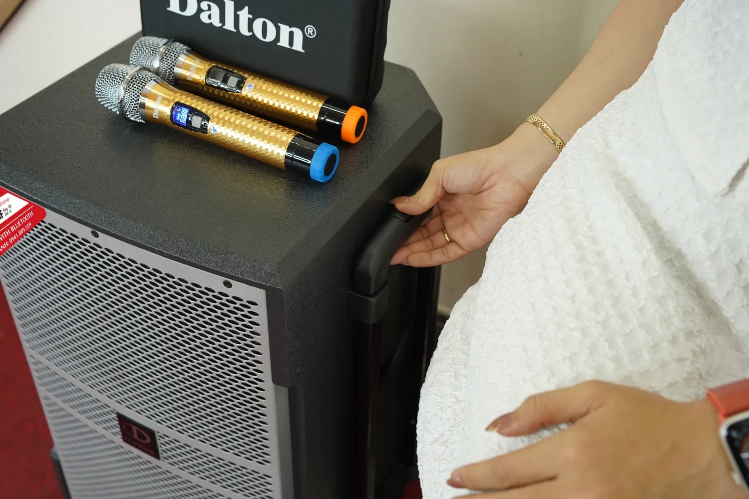 Loa Di Động DALTON TS12G400X