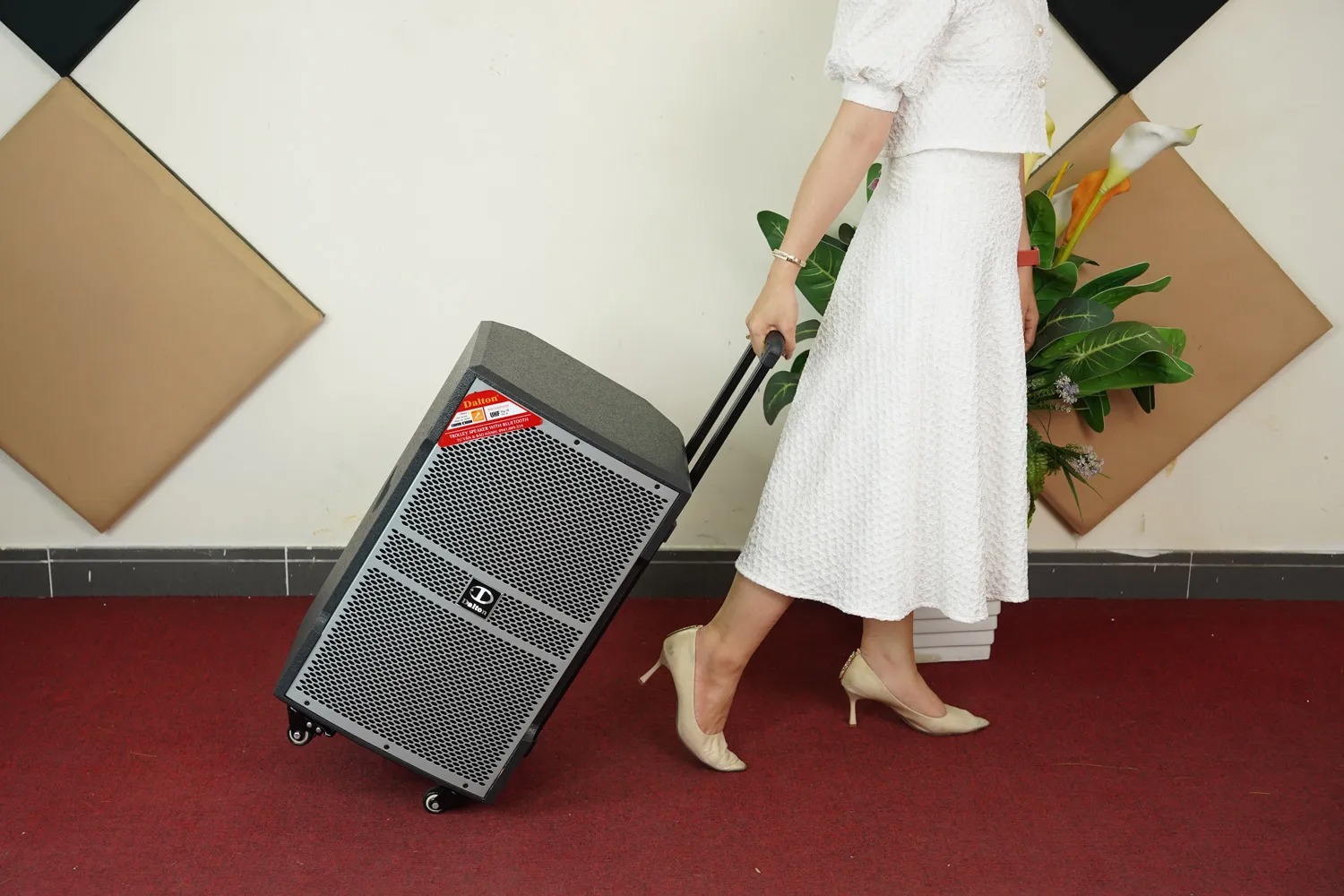 Loa Di Động DALTON TS12G400X