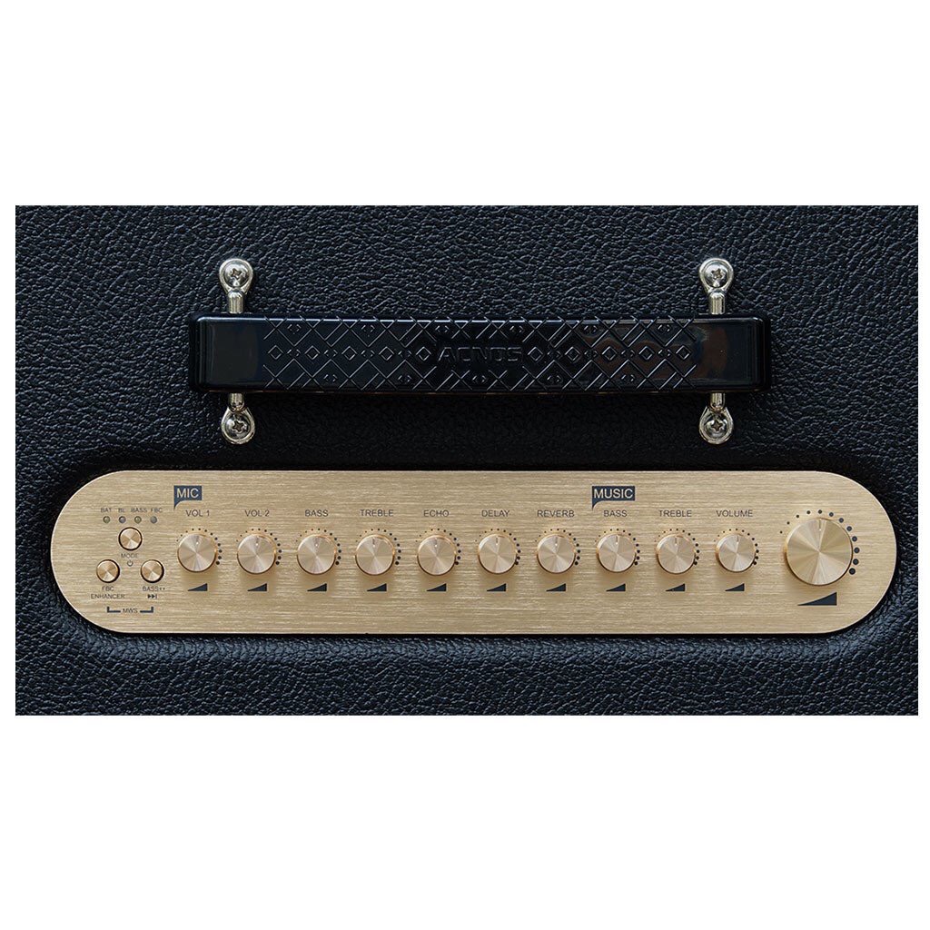 Loa Di Động ACNOS CS3600