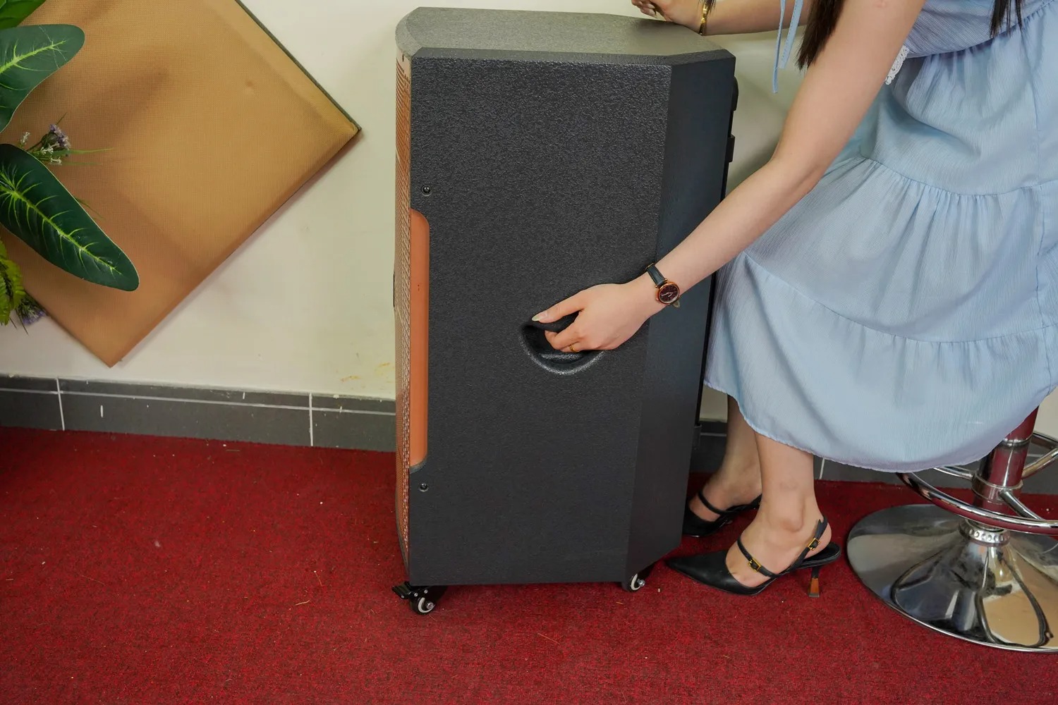 Loa Di Động DALTON TS15G550N