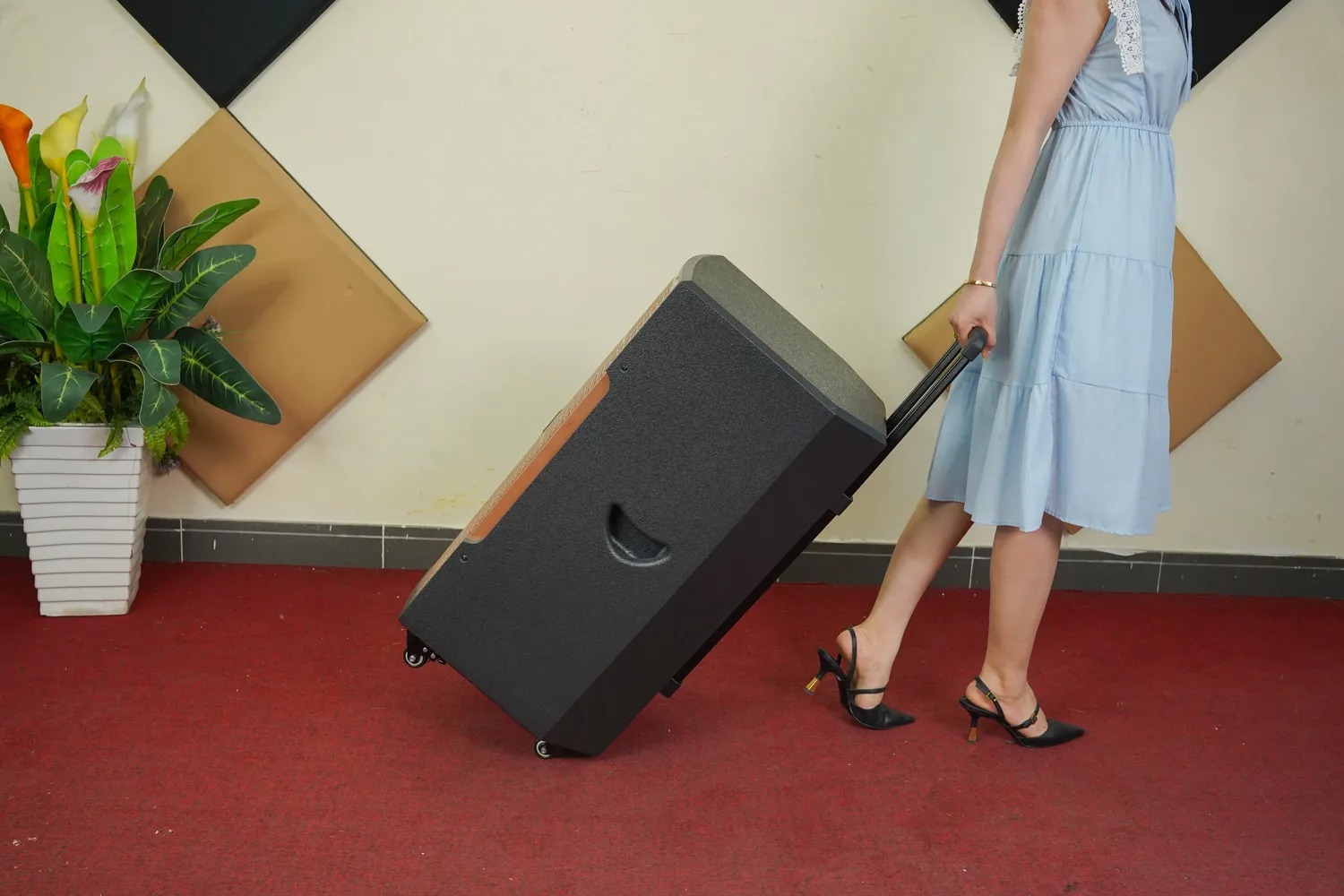 Loa Di Động DALTON TS15G550N