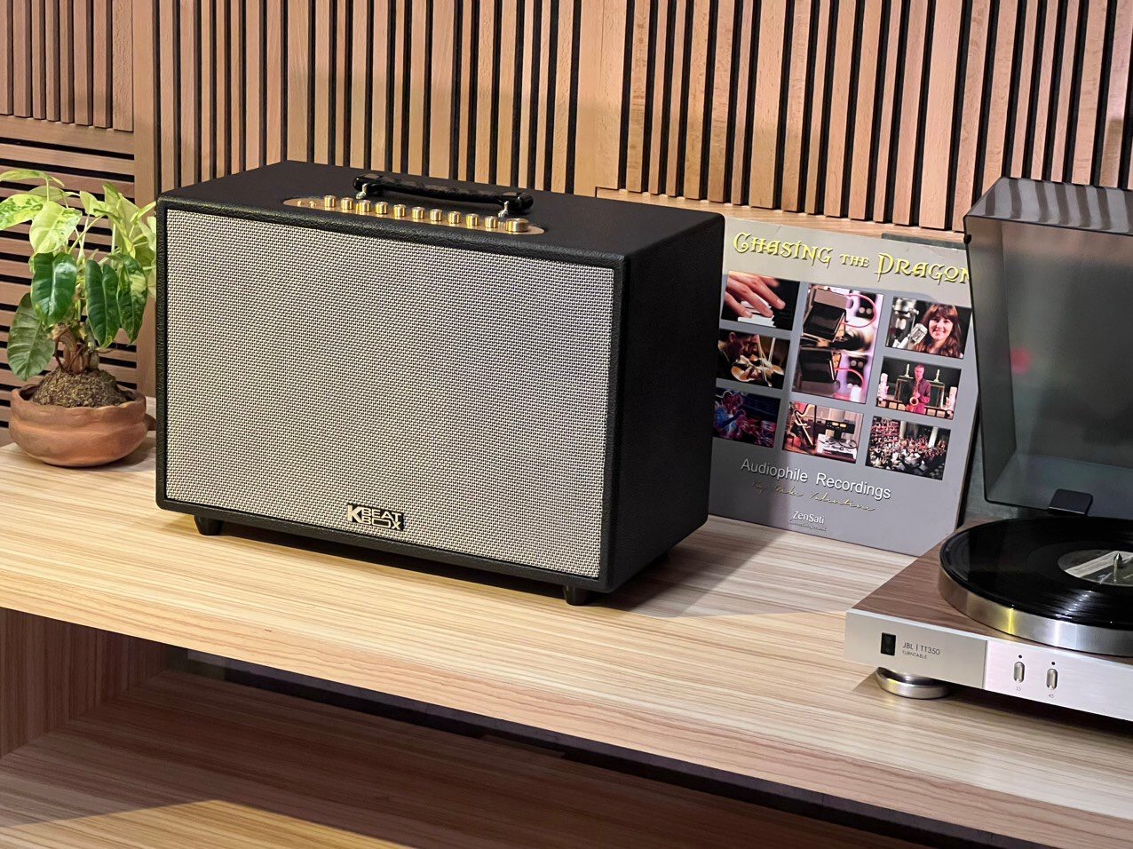 Loa Di Động ACNOS CS3600