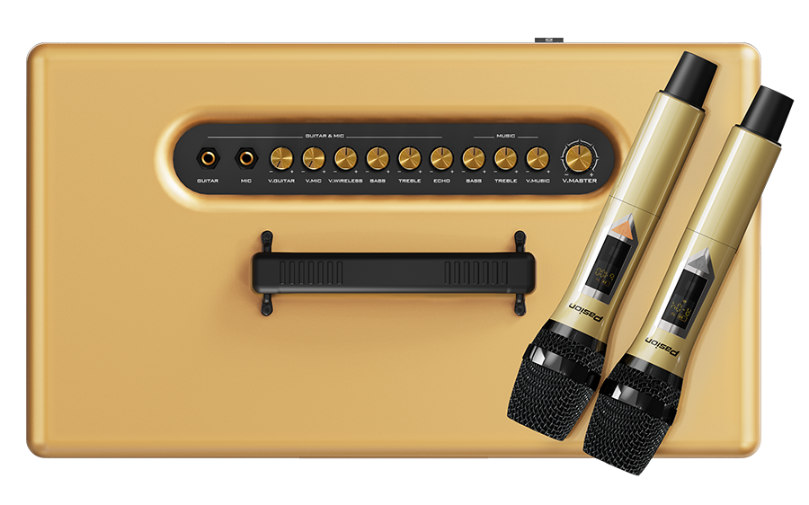 Loa Di Động Xách Tay PASION 2C