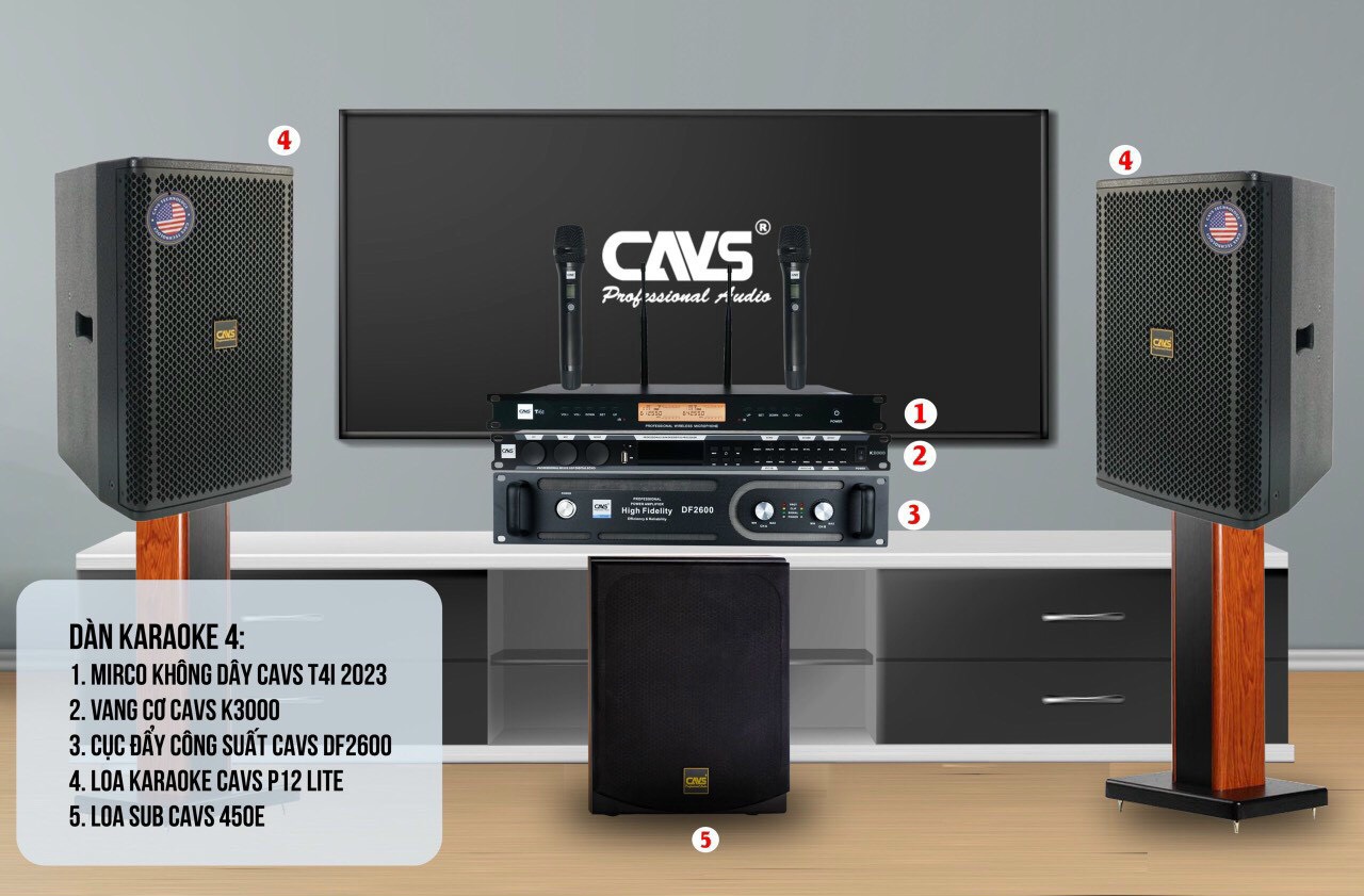 DÀN KARAOKE CAVS-01