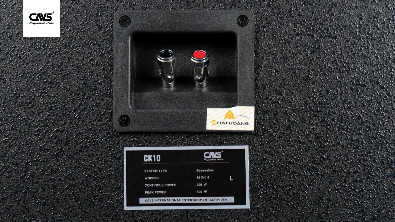 Loa CAVS CK10