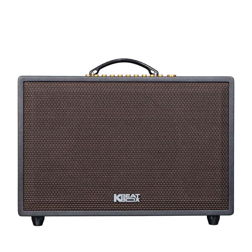 DÀN ÂM THANH DI ĐỘNG ACNOS CS3600PRO