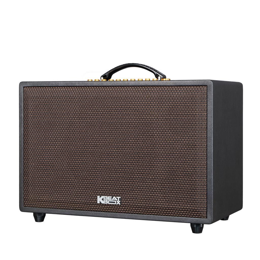 DÀN ÂM THANH DI ĐỘNG ACNOS CS3600PRO