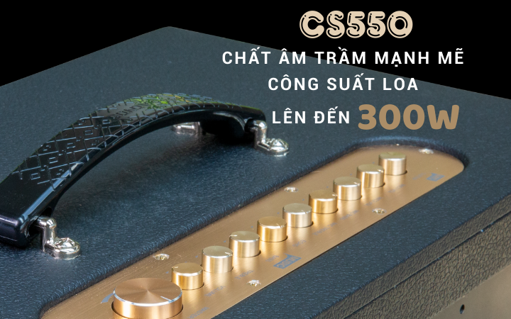Dàn Âm Thanh Di Động ACNOS CS550