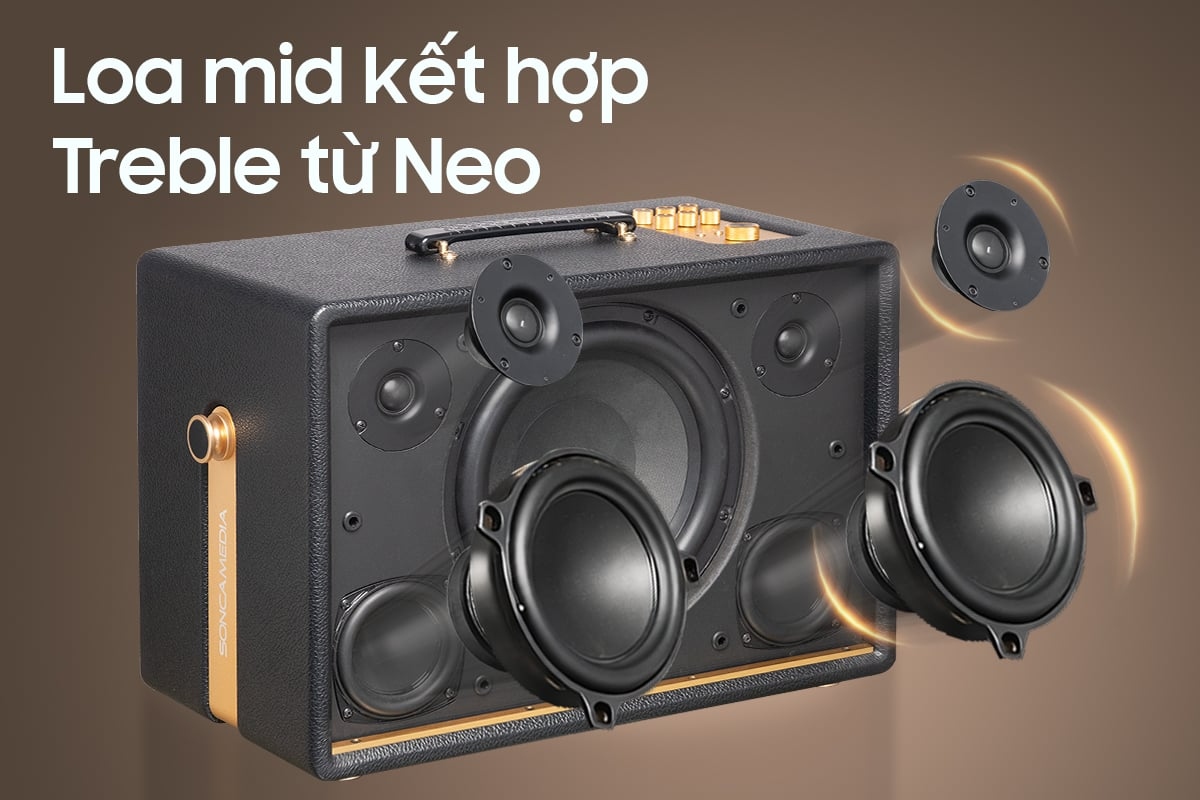 Loa Di Động Acnos D'Auris 300