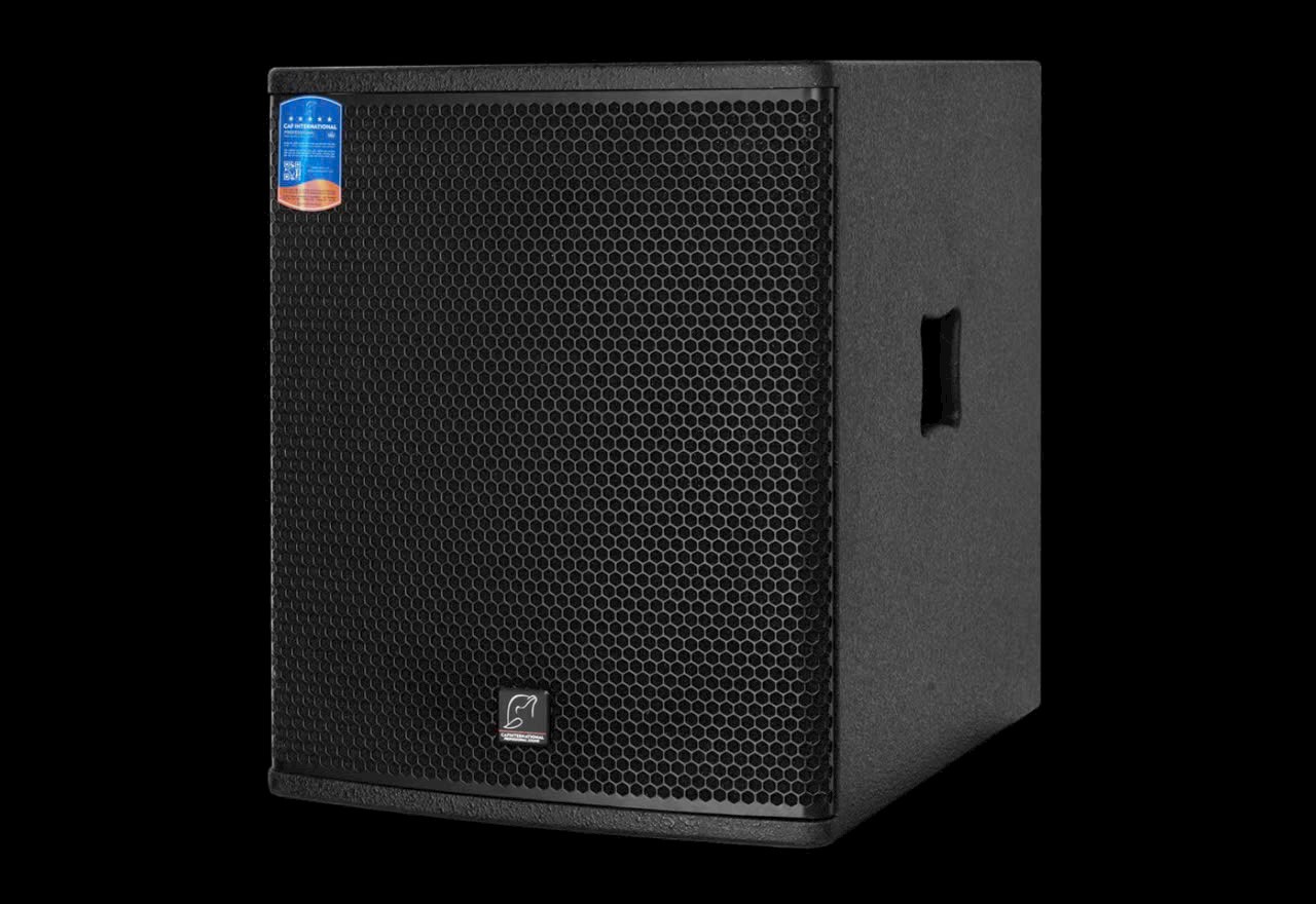 Loa Siêu Trầm CAF DX15SA