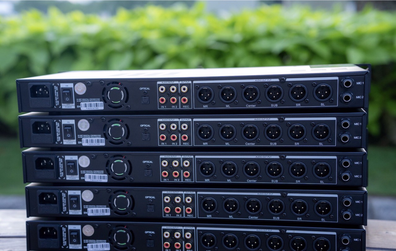 Vang số Dbacoustic F35