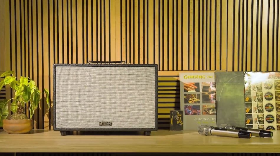 Loa Di Động ACNOS CS3600