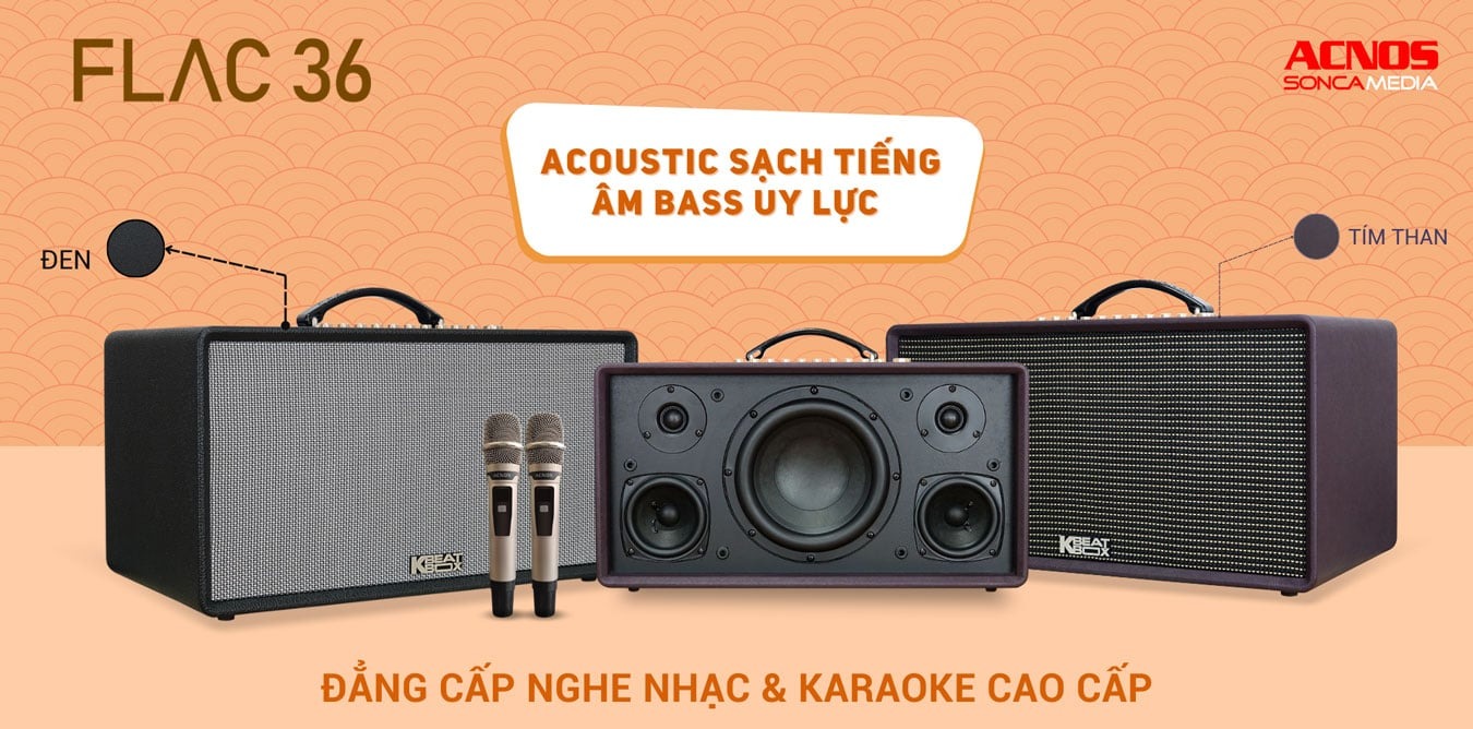 Loa Di Động ACNOS FLAC 36