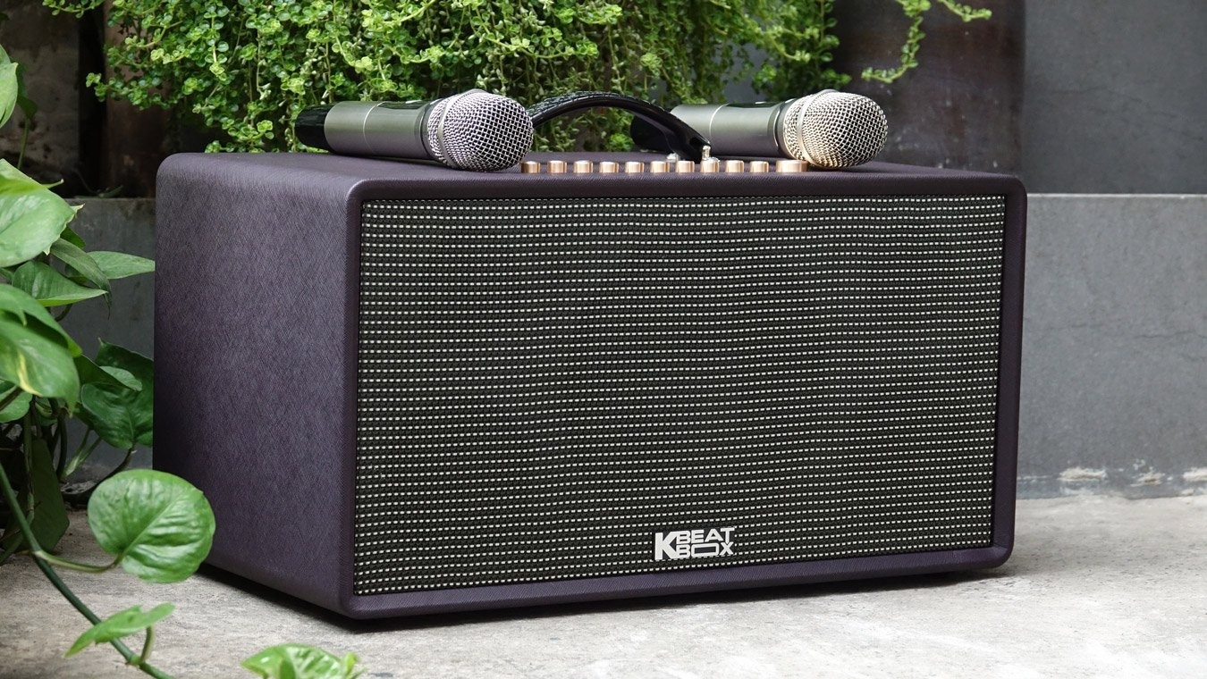 Loa Di Động ACNOS FLAC 36