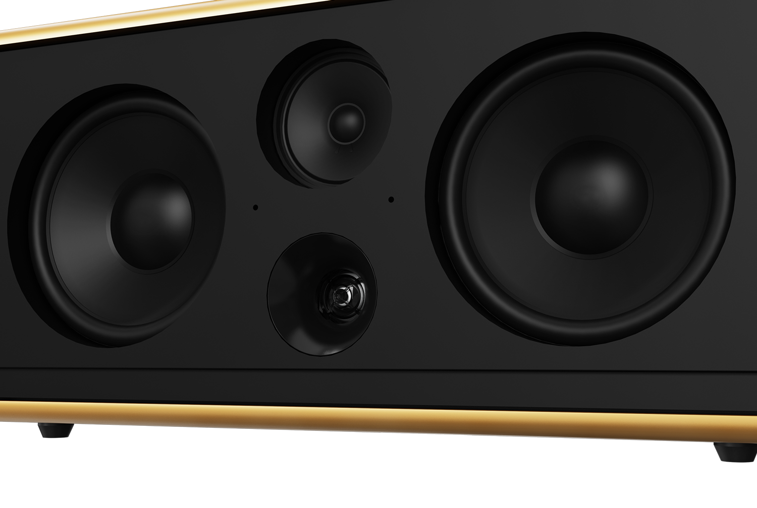 Loa Di Động Xách Tay PASION 2C