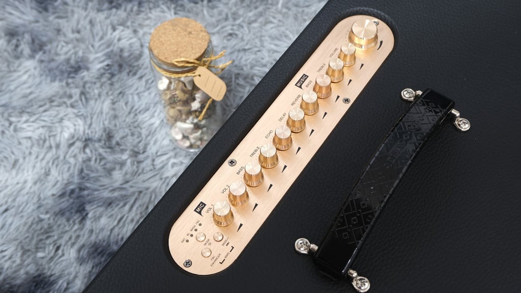 Loa Di Động ACNOS Hi450