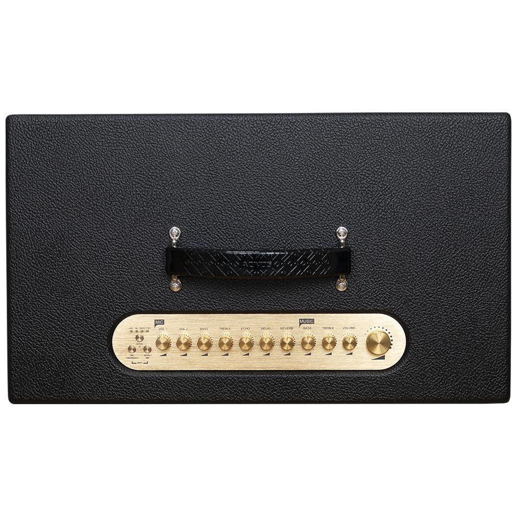 Loa Di Động ACNOS Hi450