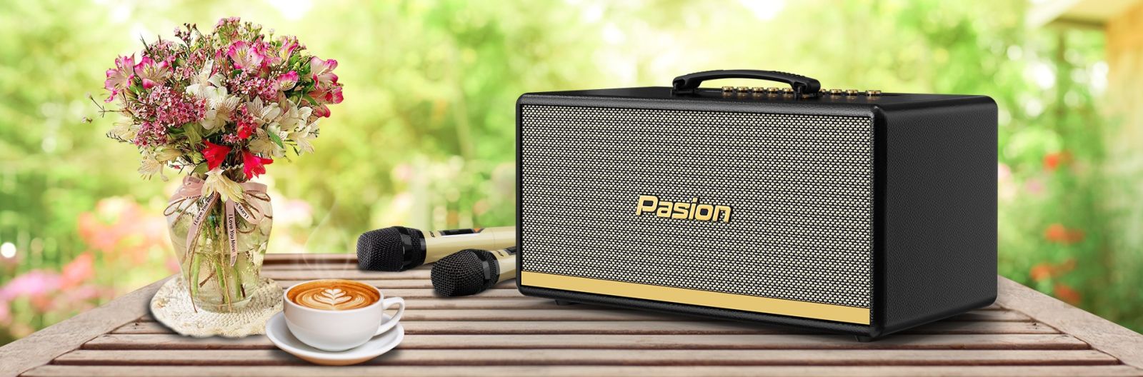 Loa Karaoke Di Động Xách Tay PASION 2