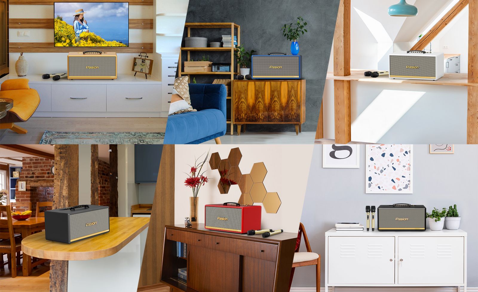 Loa Di Động Xách Tay PASION 2C