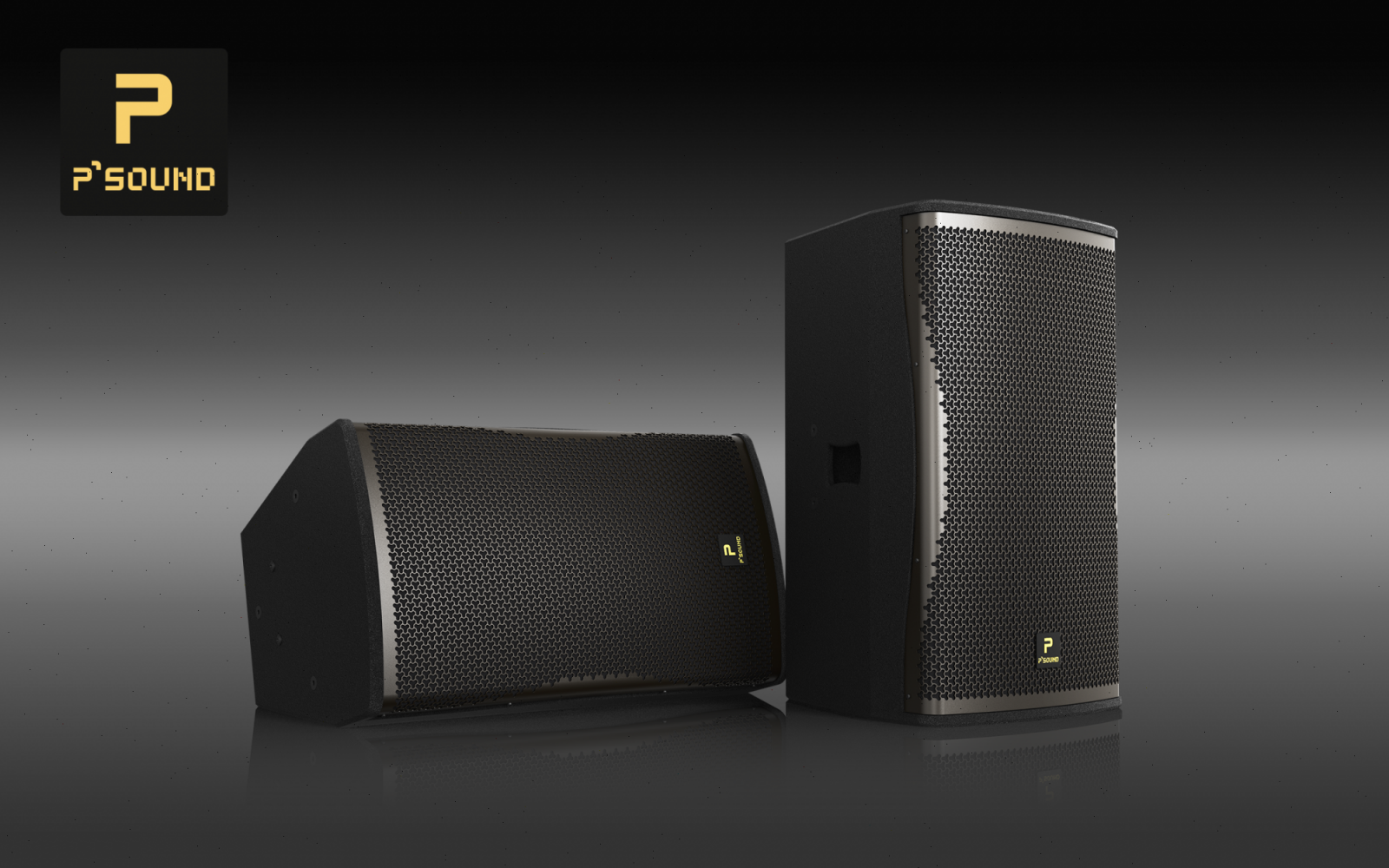 Loa full-range P’SOUND S-7030