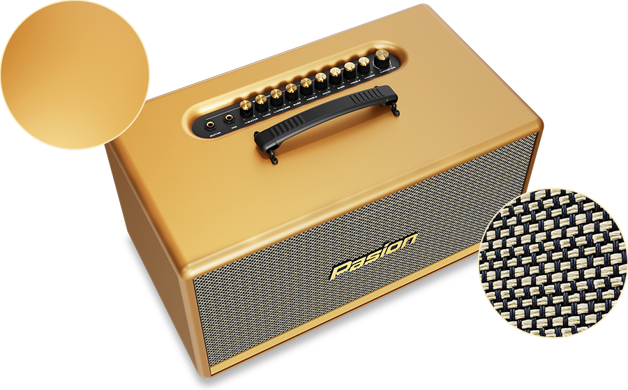 Loa Di Động Xách Tay PASION 2C