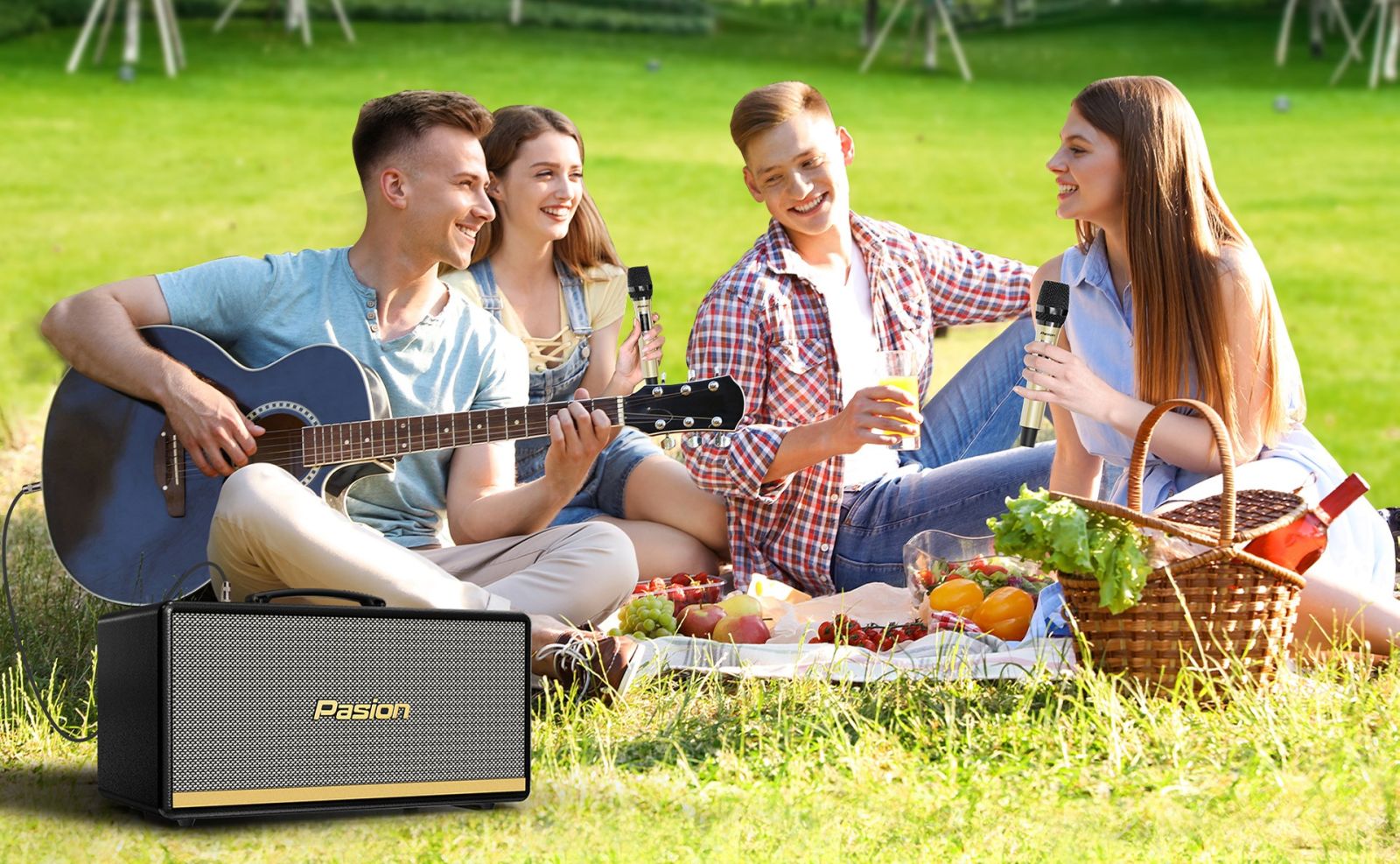 Loa Karaoke Di Động Xách Tay PASION 2