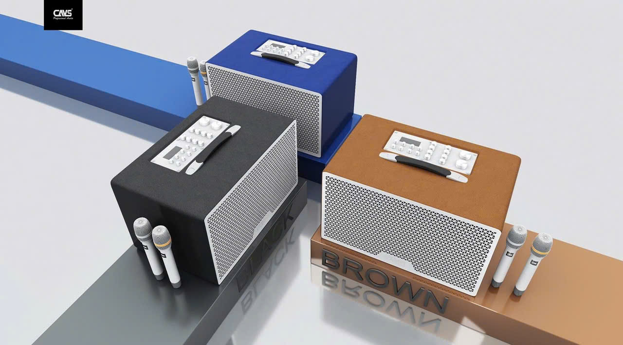 Loa Karaoke Di Động CAVS LUN028