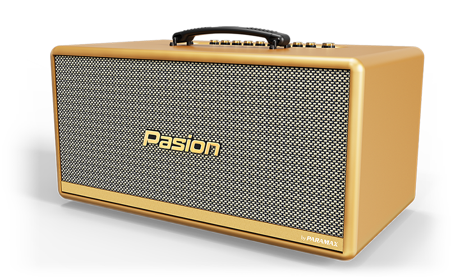 Loa Di Động Xách Tay PASION 2C