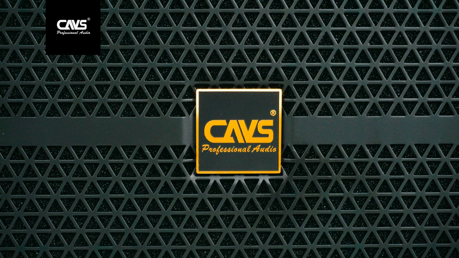 Loa kéo CAVS PA15 Bass 40