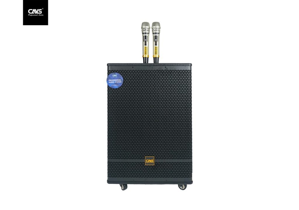Loa kéo CAVS PA15 Bass 40