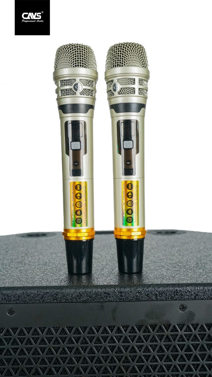 Loa kéo CAVS PA15 Bass 40