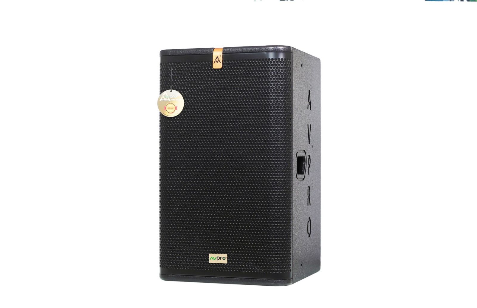 Loa Full AVPRO SM312P