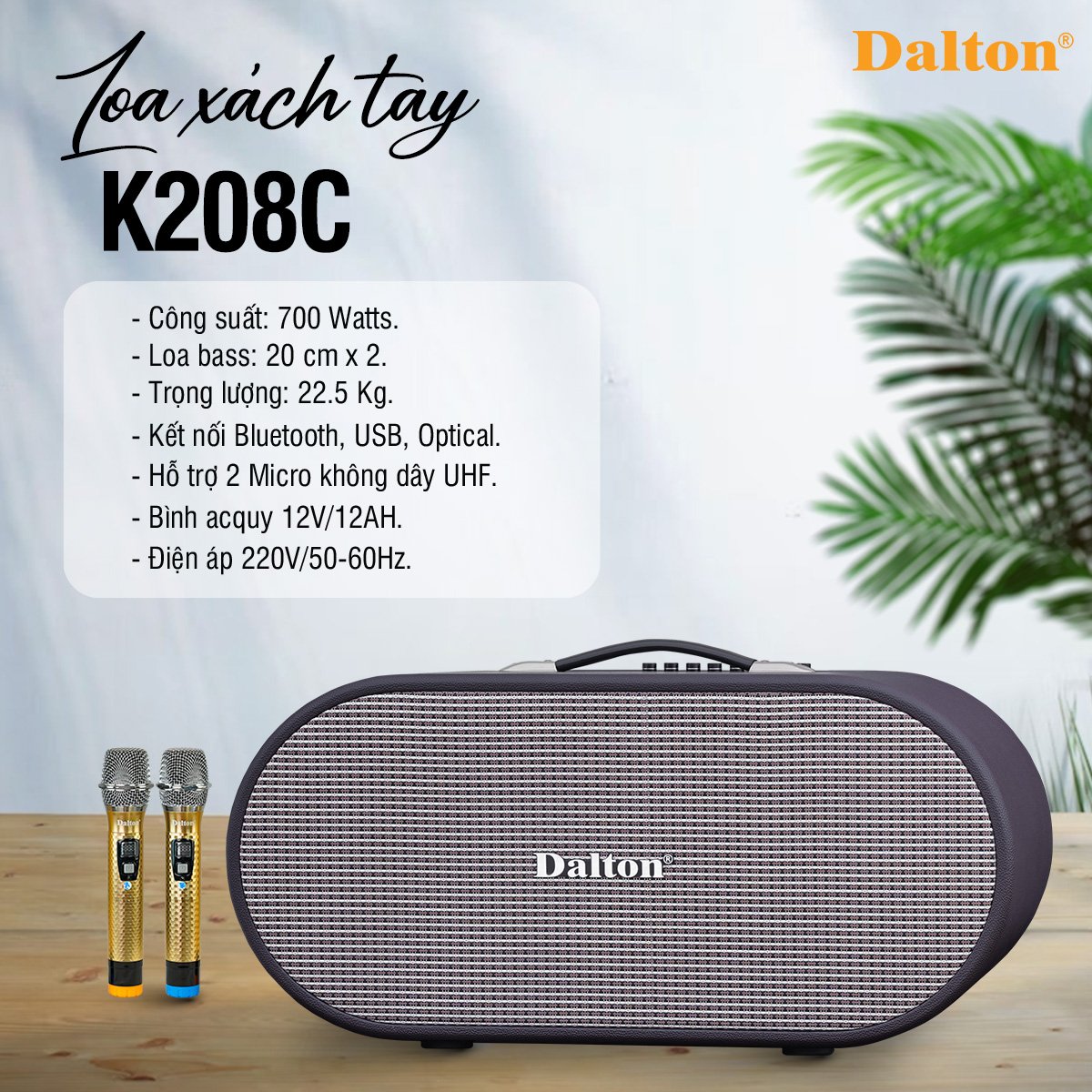 Loa Karaoke Di Động Xách Tay DALTON KC208