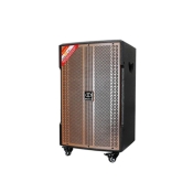 Loa Di Động DALTON TS12G380N